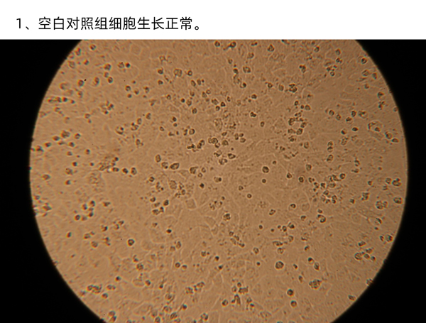 實驗一圖片1.jpg