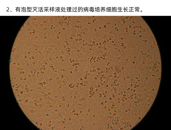 實驗一圖片2.jpg