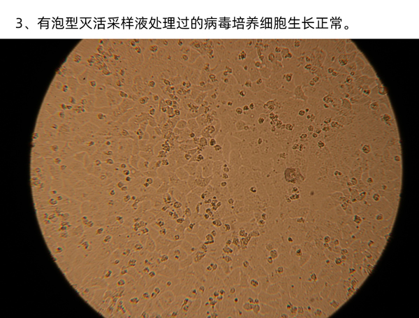 實驗一圖片3.jpg