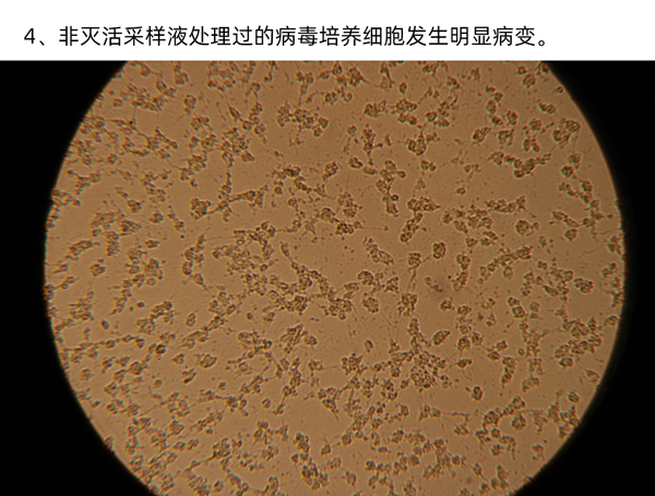 實驗一圖片4.jpg