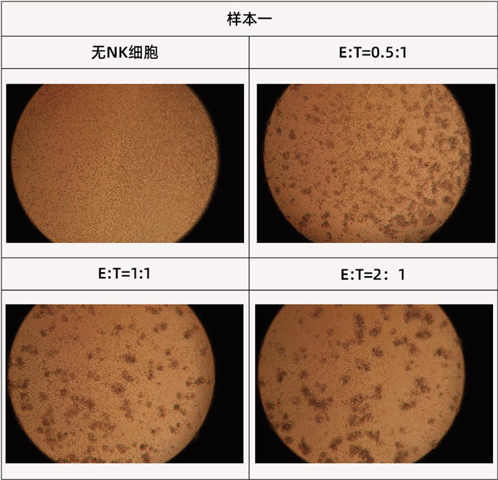 樣本716.jpg