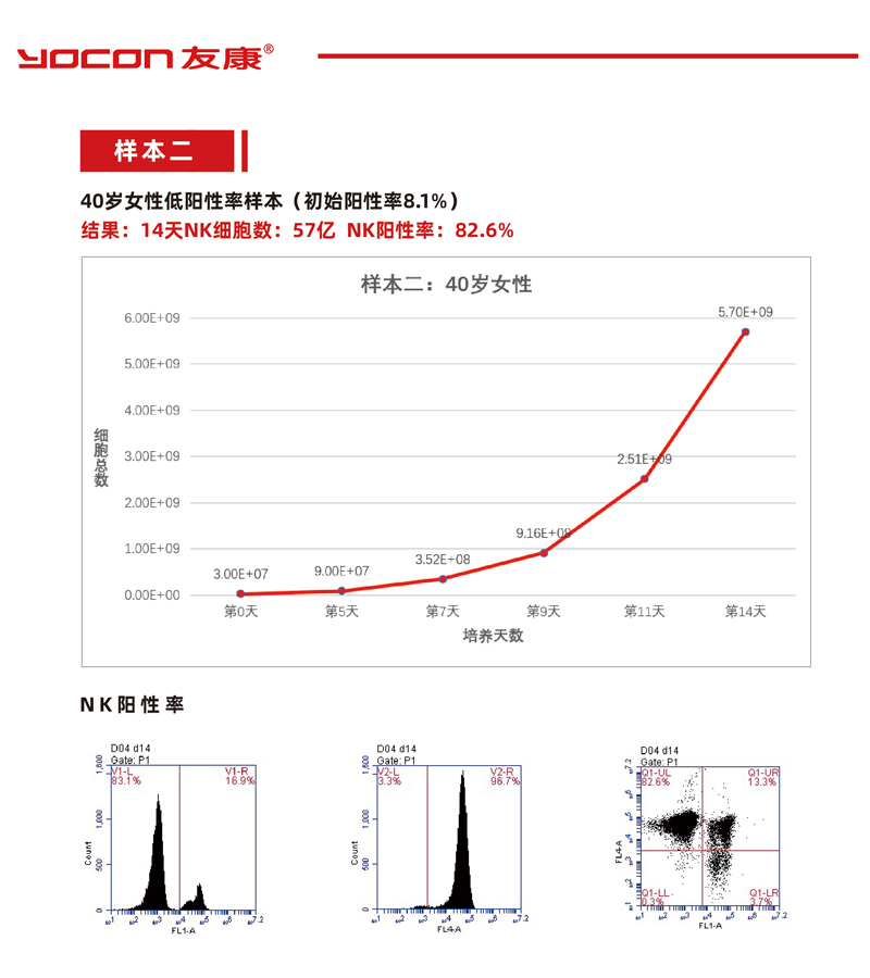 網(wǎng)頁版二.png