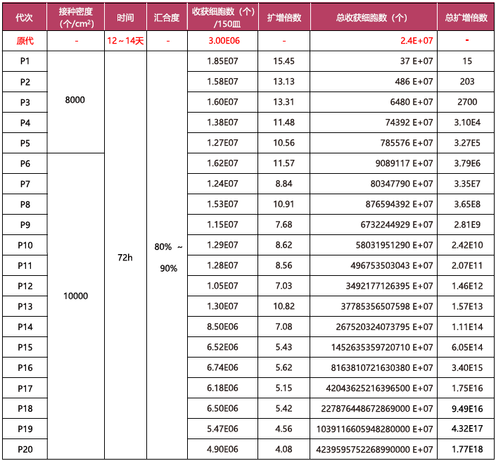 臍帶傳代—擴(kuò)增表格.png