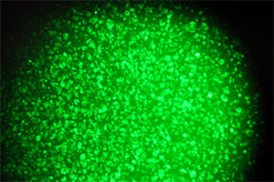 image001 拷貝.png