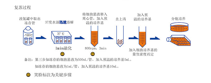 復蘇凍存細胞的過程.jpg