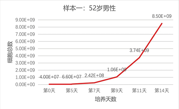 樣本1-1.png