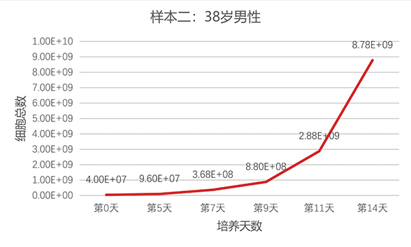 樣本2-1.png