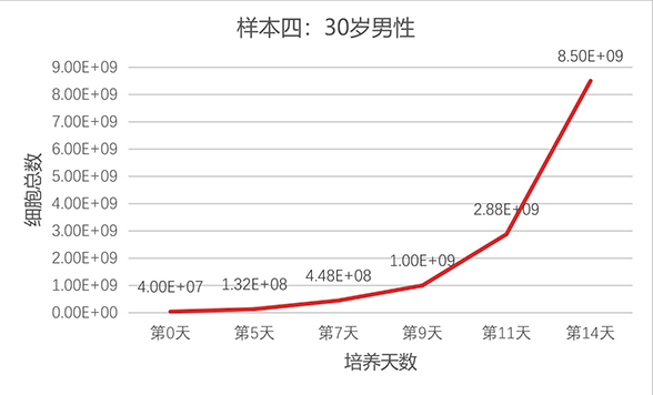 樣本4-1.png