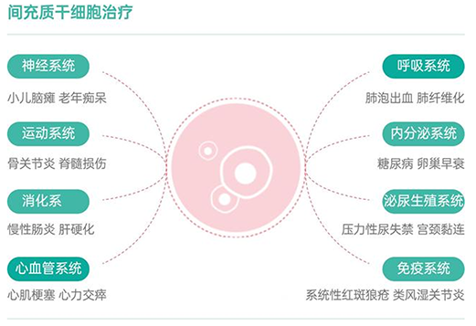 干細胞應(yīng)用1.png