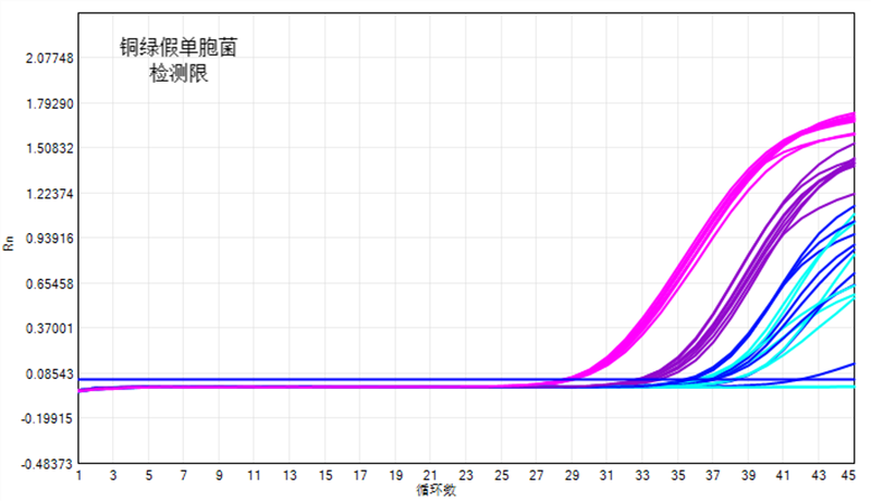 2、細(xì)菌.png