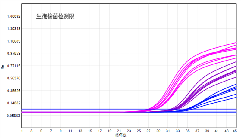 3、細(xì)菌.png