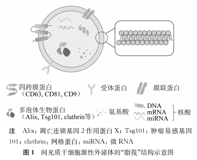 微信圖片_20241126142059.png