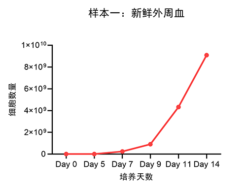 樣本一：新鮮外周血.png