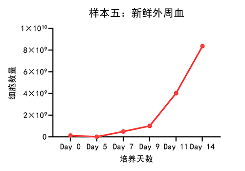 樣本五：新鮮外周血.png
