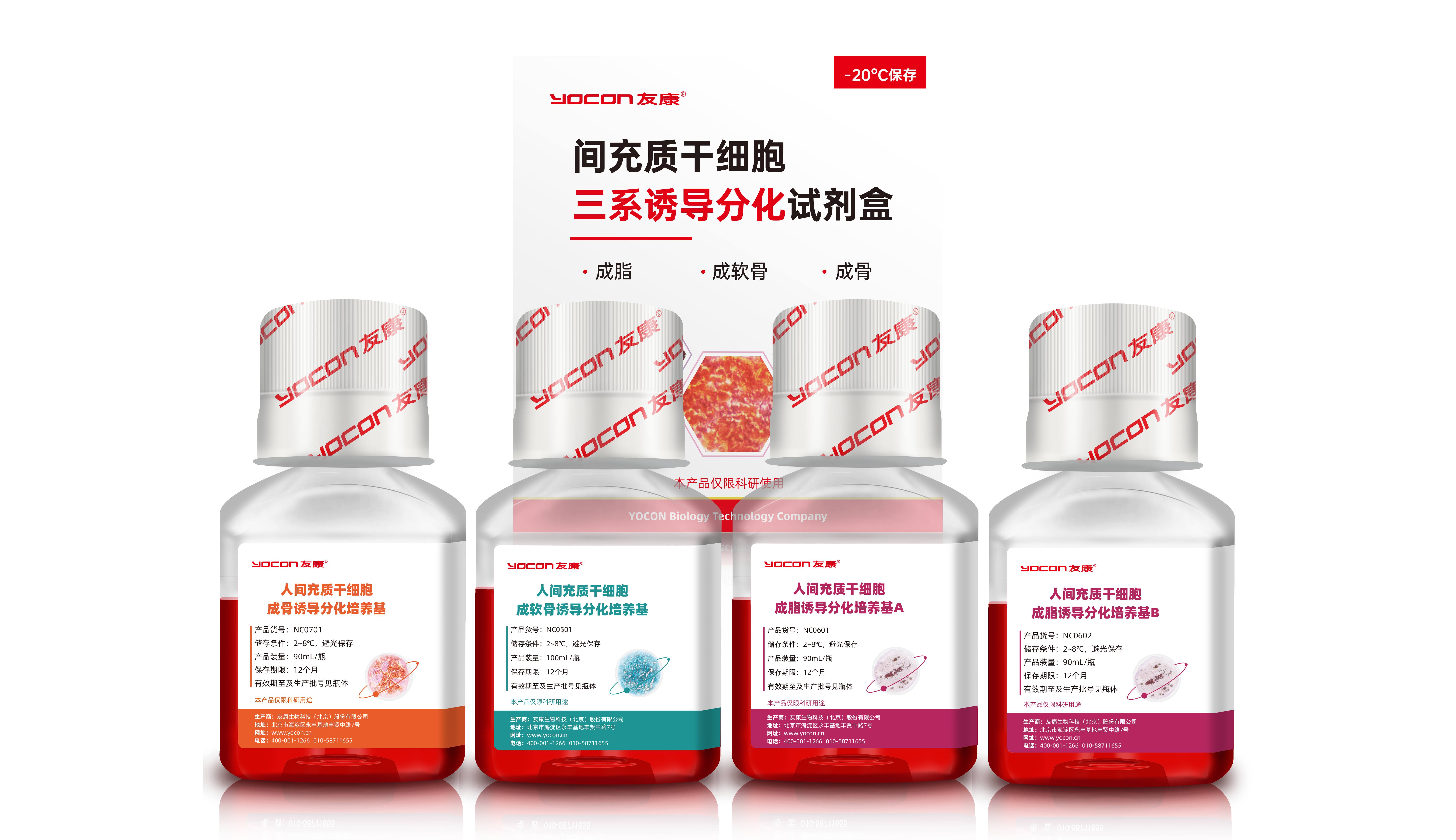 人間充質(zhì)干細(xì)胞三系誘導(dǎo)分化試劑盒